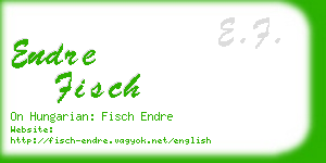 endre fisch business card